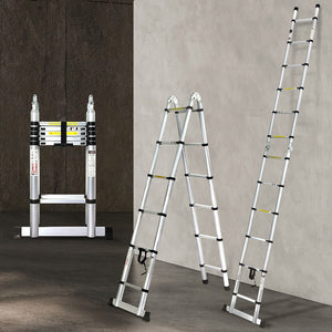 Telescopic Ladder