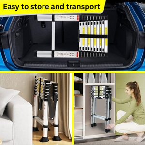 Telescopic Ladder