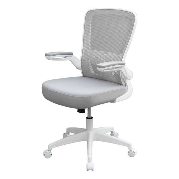 Axton Ergonomic Office Chair
