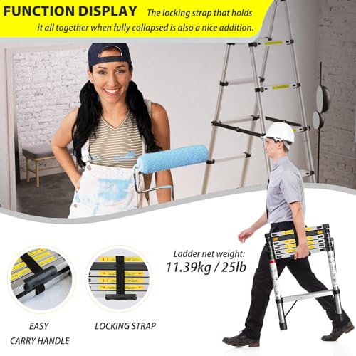 Telescopic Ladder