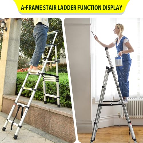 Telescopic Ladder