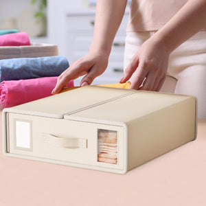 Flexi Collapsible Box Organizer