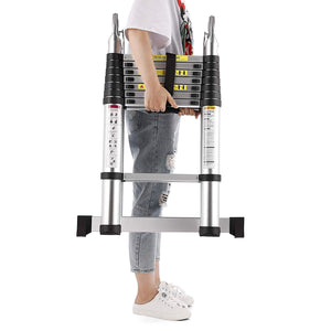 Telescopic Ladder