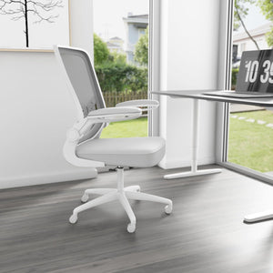 Axton Ergonomic Office Chair