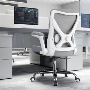 Axton Ergonomic Office Chair