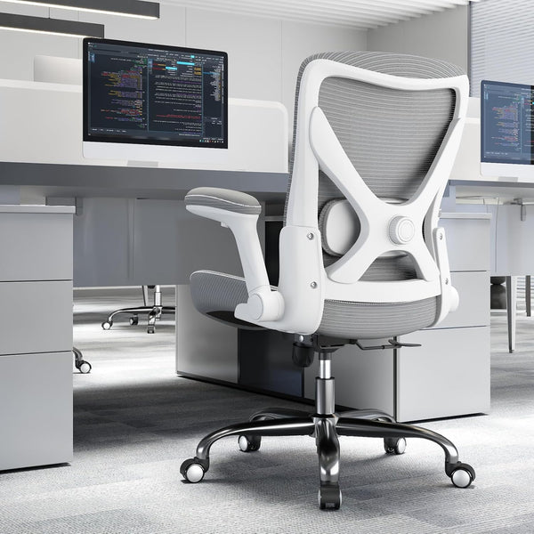 Axton Ergonomic Office Chair