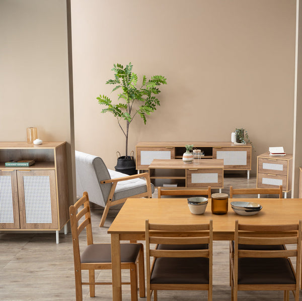 Dallas Multifunctional Cabinet