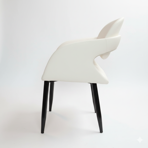 Elara Dining Chair - Set of 2