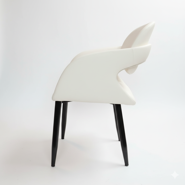 Elara Dining Chair - Set of 2