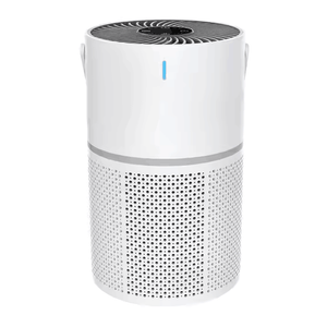 Portable Air Purifier