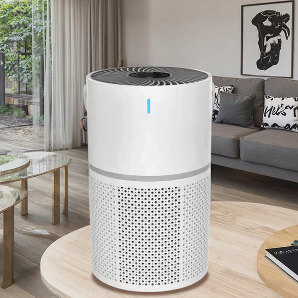 Portable Air Purifier
