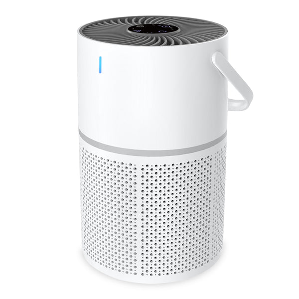 Portable Air Purifier