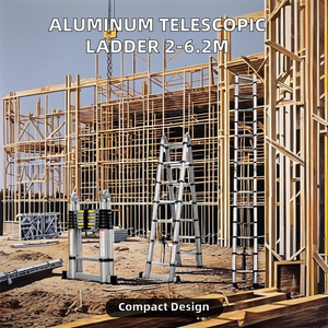 Telescopic Ladder