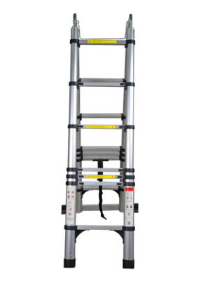 Telescopic Ladder