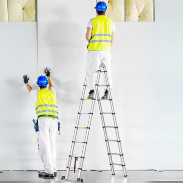 Telescopic Ladder