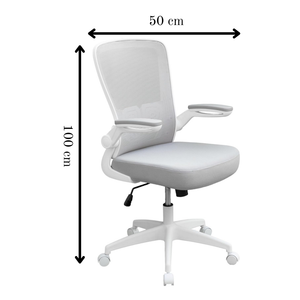 Axton Ergonomic Office Chair