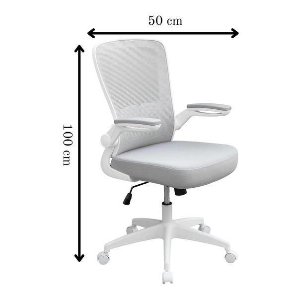 Axton Ergonomic Office Chair