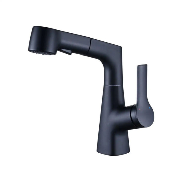 Vega Pull-Out Rotating Bathroom Mixer Tap - Matte Black