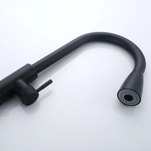Eclipse Pull-Out Kitchen Faucet - Matte Black
