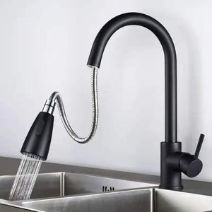 Eclipse Pull-Out Kitchen Faucet - Matte Black