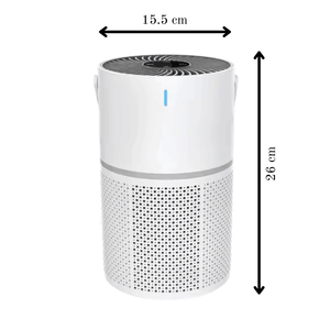 Portable Air Purifier