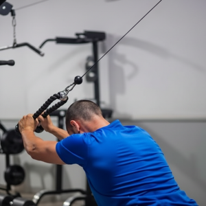 Apex Pulley Trainer System