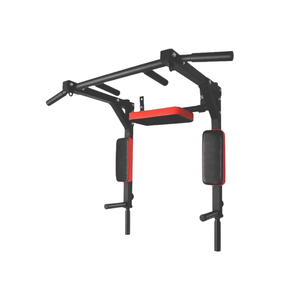 Metrix Multi-Grip Pull-Up Station