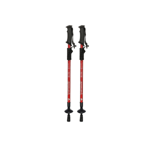 RidgePro Hiking Pole - Set of 2