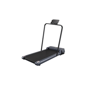Aspire 2-in-1 Treadmill & Walking Pad