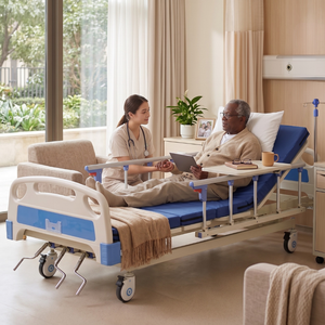Avior Manual Three-Function Bed
