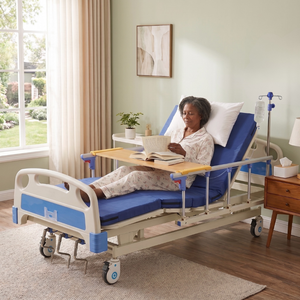 Avior Manual Three-Function Bed
