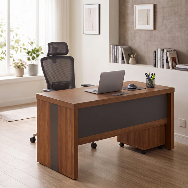 Ferro Office Desk with Cabinet