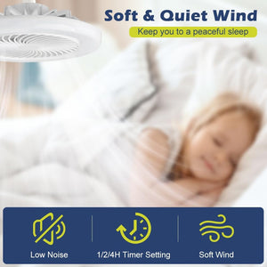 LED Multifunctional Fan Light
