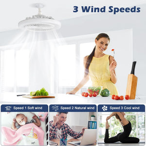 LED Multifunctional Fan Light