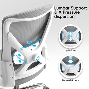 Axton Ergonomic Office Chair