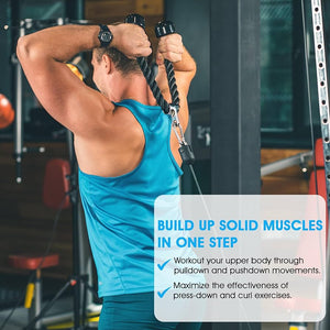 Apex Pulley Trainer System