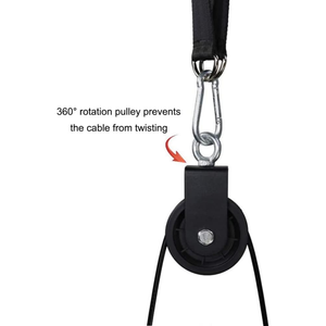 Apex Pulley Trainer System