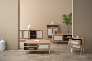 Dallas Multifunctional Cabinet