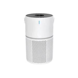 Portable Air Purifier