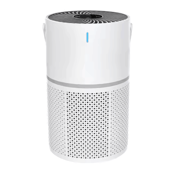 Portable Air Purifier