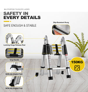 Telescopic Ladder