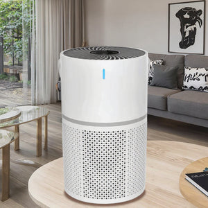 Portable Air Purifier