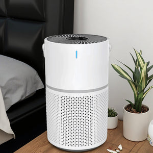Portable Air Purifier
