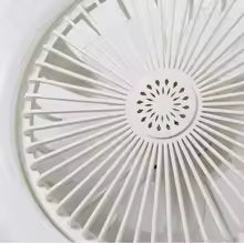LED Multifunctional Fan Light