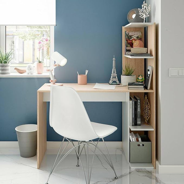 Ferlyn Compact Desk with Shelves