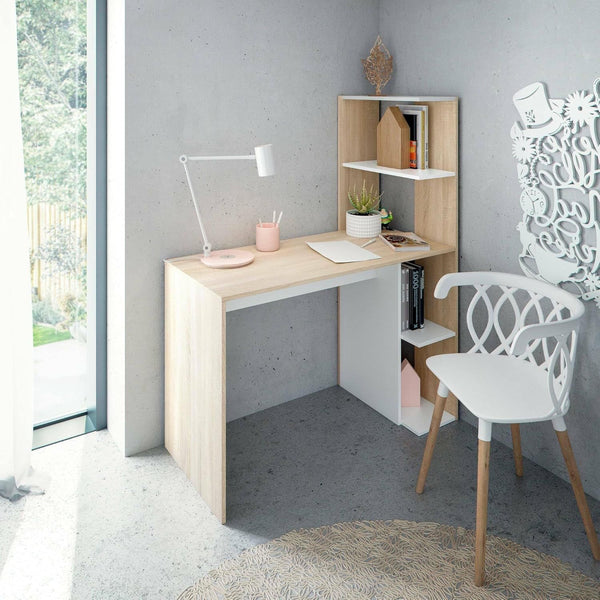 Ferlyn Compact Desk with Shelves