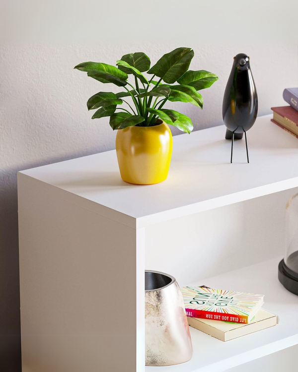Minimalist 3-Tier Bookcase