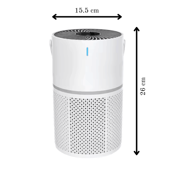Portable Air Purifier
